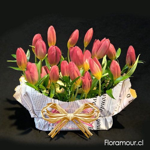 Arreglo de 20 tulipanes en base humectada papel decorativo (tono y color de tulipanes puede variar seg&uacute;n importaci&oacute;n)